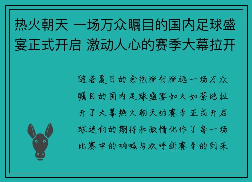 热火朝天 一场万众瞩目的国内足球盛宴正式开启 激动人心的赛季大幕拉开