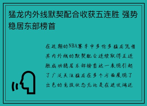 猛龙内外线默契配合收获五连胜 强势稳居东部榜首