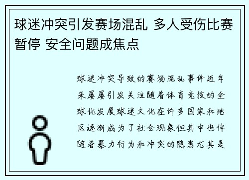 球迷冲突引发赛场混乱 多人受伤比赛暂停 安全问题成焦点